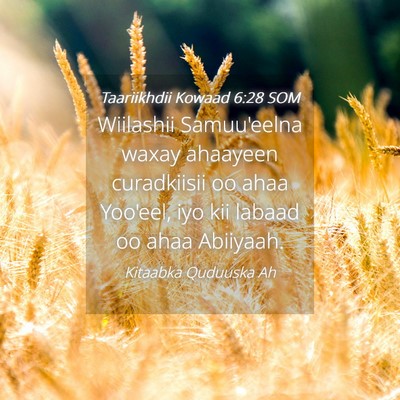 Picture 04 - Taariikhdii Kowaad 6:28 SOM - Wiilashii Samuu'eelna waxay ahaayeen curadkiisii - Bible Verse Picture