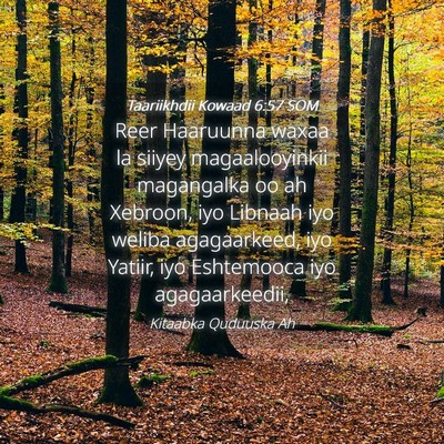 Picture 04 - Taariikhdii Kowaad 6:57 SOM - Reer Haaruunna waxaa la siiyey magaalooyinkii - Bible Verse Picture