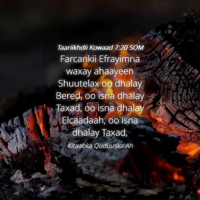 Picture 04 - Taariikhdii Kowaad 7:20 SOM - Farcankii Efrayimna waxay ahaayeen Shuutelax oo - Bible Verse Picture
