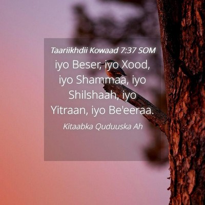 Picture 04 - Taariikhdii Kowaad 7:37 SOM - iyo Beser, iyo Xood, iyo Shammaa, iyo Shilshaah, - Bible Verse Picture