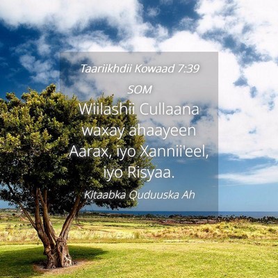 Picture 04 - Taariikhdii Kowaad 7:39 SOM - Wiilashii Cullaana waxay ahaayeen Aarax, iyo - Bible Verse Picture