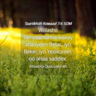 Picture 04 - Taariikhdii Kowaad 7:6 SOM - Wiilashii Benyaamiinna waxay ahaayeen Belac, iyo - Bible Verse Picture