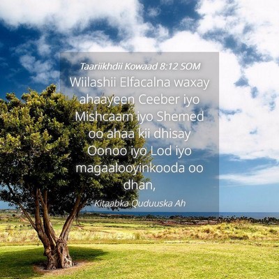 Picture 04 - Taariikhdii Kowaad 8:12 SOM - Wiilashii Elfacalna waxay ahaayeen Ceeber iyo - Bible Verse Picture