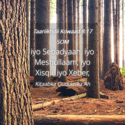 Picture 04 - Taariikhdii Kowaad 8:17 SOM - iyo Sebadyaah, iyo Meshullaam, iyo Xisqii, iyo - Bible Verse Picture