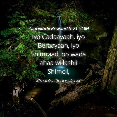 Picture 04 - Taariikhdii Kowaad 8:21 SOM - iyo Cadaayaah, iyo Beraayaah, iyo Shimraad, oo - Bible Verse Picture