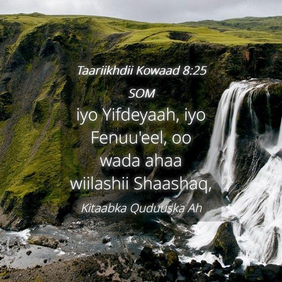 Picture 04 - Taariikhdii Kowaad 8:25 SOM - iyo Yifdeyaah, iyo Fenuu'eel, oo wada ahaa - Bible Verse Picture
