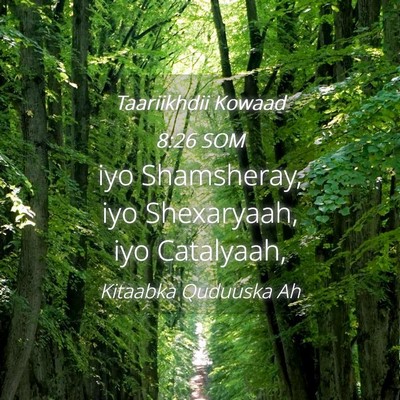Picture 04 - Taariikhdii Kowaad 8:26 SOM - iyo Shamsheray, iyo Shexaryaah, iyo - Bible Verse Picture