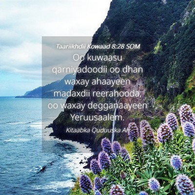 Picture 04 - Taariikhdii Kowaad 8:28 SOM - Oo kuwaasu qarniyadoodii oo dhan waxay ahaayeen - Bible Verse Picture