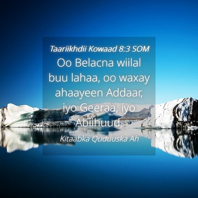 Picture 04 - Taariikhdii Kowaad 8:3 SOM - Oo Belacna wiilal buu lahaa, oo waxay ahaayeen - Bible Verse Picture