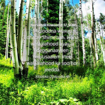 Picture 04 - Taariikhdii Kowaad 8:32 SOM - Miqloodna wuxuu dhalay Shime'aah. Iyana - Bible Verse Picture