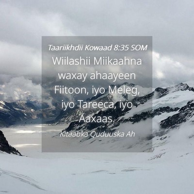 Picture 04 - Taariikhdii Kowaad 8:35 SOM - Wiilashii Miikaahna waxay ahaayeen Fiitoon, iyo - Bible Verse Picture