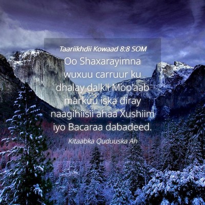 Picture 04 - Taariikhdii Kowaad 8:8 SOM - Oo Shaxarayimna wuxuu carruur ku dhalay dalkii - Bible Verse Picture