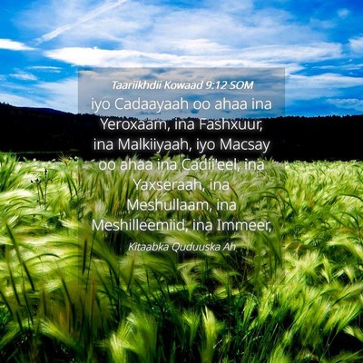 Picture 04 - Taariikhdii Kowaad 9:12 SOM - iyo Cadaayaah oo ahaa ina Yeroxaam, ina Fashxuur, - Bible Verse Picture