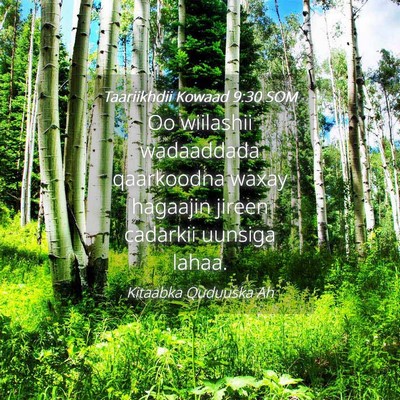 Picture 04 - Taariikhdii Kowaad 9:30 SOM - Oo wiilashii wadaaddada qaarkoodna waxay hagaajin - Bible Verse Picture
