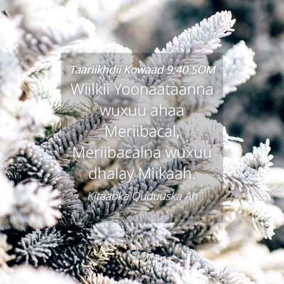Picture 04 - Taariikhdii Kowaad 9:40 SOM - Wiilkii Yoonaataanna wuxuu ahaa Meriibacal, - Bible Verse Picture