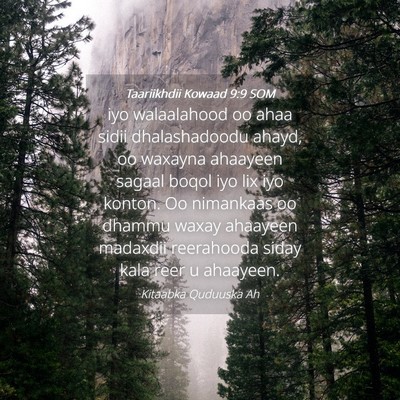 Picture 04 - Taariikhdii Kowaad 9:9 SOM - iyo walaalahood oo ahaa sidii dhalashadoodu - Bible Verse Picture