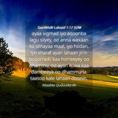 Picture 04 - Taariikhdii Labaad 1:12 SOM - ayaa xigmad iyo aqoonba lagu siiyey, oo anna - Bible Verse Picture
