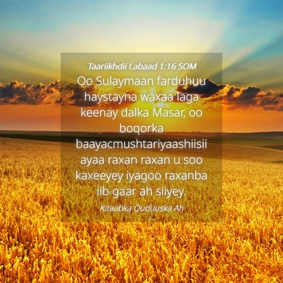 Picture 04 - Taariikhdii Labaad 1:16 SOM - Oo Sulaymaan farduhuu haystayna waxaa laga keenay - Bible Verse Picture