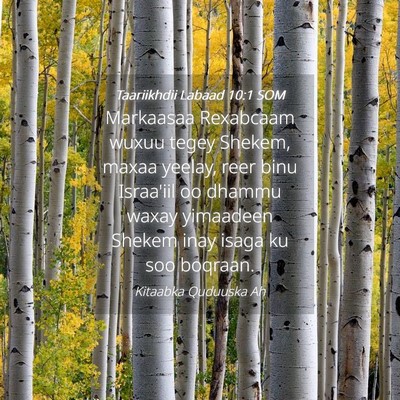 Picture 04 - Taariikhdii Labaad 10:1 SOM - Markaasaa Rexabcaam wuxuu tegey Shekem, maxaa - Bible Verse Picture