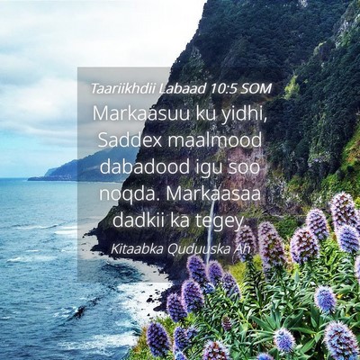 Picture 04 - Taariikhdii Labaad 10:5 SOM - Markaasuu ku yidhi, Saddex maalmood dabadood igu - Bible Verse Picture