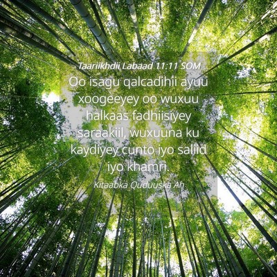 Picture 04 - Taariikhdii Labaad 11:11 SOM - Oo isagu qalcadihii ayuu xoogeeyey oo wuxuu - Bible Verse Picture