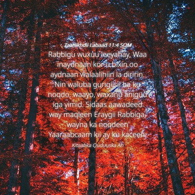 Picture 04 - Taariikhdii Labaad 11:4 SOM - Rabbigu wuxuu leeyahay, Waa inaydnaan kor u bixin - Bible Verse Picture