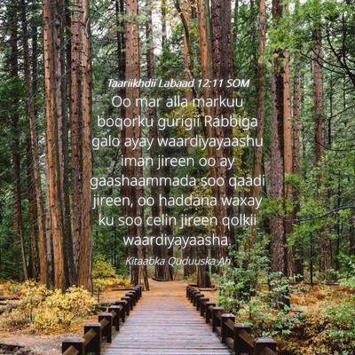 Picture 04 - Taariikhdii Labaad 12:11 SOM - Oo mar alla markuu boqorku gurigii Rabbiga galo - Bible Verse Picture