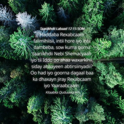 Picture 04 - Taariikhdii Labaad 12:15 SOM - Haddaba Rexabcaam falimihiisii, intii hore iyo - Bible Verse Picture