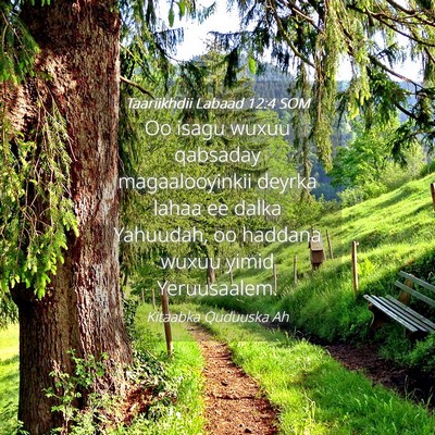 Picture 04 - Taariikhdii Labaad 12:4 SOM - Oo isagu wuxuu qabsaday magaalooyinkii deyrka - Bible Verse Picture