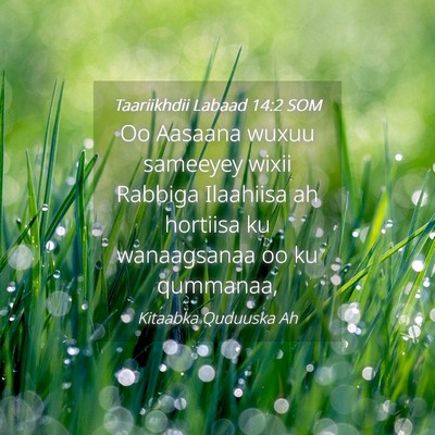 Picture 04 - Taariikhdii Labaad 14:2 SOM - Oo Aasaana wuxuu sameeyey wixii Rabbiga Ilaahiisa - Bible Verse Picture