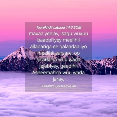 Picture 04 - Taariikhdii Labaad 14:3 SOM - maxaa yeelay, isagu wuxuu baabbi'iyey meelihii - Bible Verse Picture