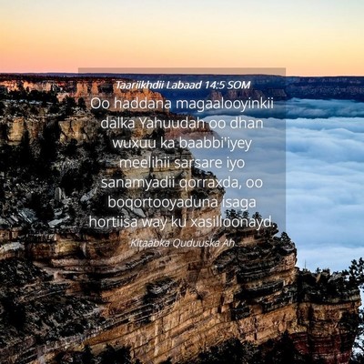 Picture 04 - Taariikhdii Labaad 14:5 SOM - Oo haddana magaalooyinkii dalka Yahuudah oo dhan - Bible Verse Picture