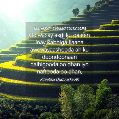 Picture 04 - Taariikhdii Labaad 15:12 SOM - Oo waxay axdi ku galeen inay Rabbiga Ilaaha - Bible Verse Picture
