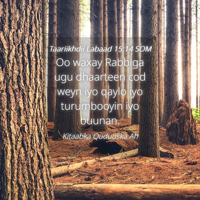 Picture 04 - Taariikhdii Labaad 15:14 SOM - Oo waxay Rabbiga ugu dhaarteen cod weyn iyo qaylo - Bible Verse Picture