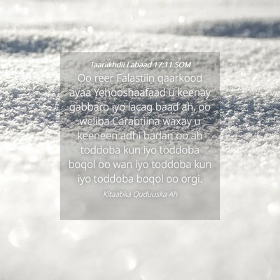 Picture 04 - Taariikhdii Labaad 17:11 SOM - Oo reer Falastiin qaarkood ayaa Yehooshaafaad u - Bible Verse Picture