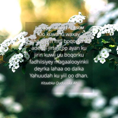 Picture 04 - Taariikhdii Labaad 17:19 SOM - Oo kuwanu waxay ahaayeen intii boqorka u adeegi - Bible Verse Picture