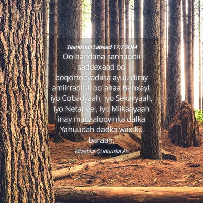 Picture 04 - Taariikhdii Labaad 17:7 SOM - Oo haddana sannaddii saddexaad oo boqortooyadiisa - Bible Verse Picture