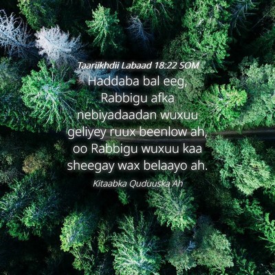 Picture 04 - Taariikhdii Labaad 18:22 SOM - Haddaba bal eeg, Rabbigu afka nebiyadaadan wuxuu - Bible Verse Picture