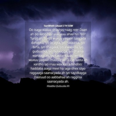 Picture 04 - Taariikhdii Labaad 2:14 SOM - Oo isaga waxaa dhashay naag reer Daan ah oo - Bible Verse Picture