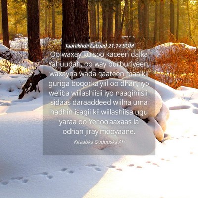 Picture 04 - Taariikhdii Labaad 21:17 SOM - Oo waxay ku soo kaceen dalka Yahuudah, oo way - Bible Verse Picture