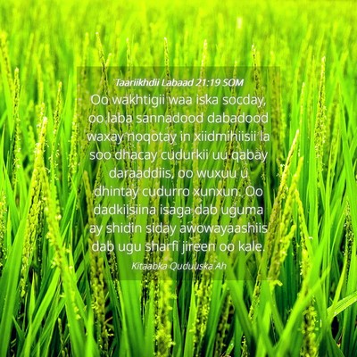 Picture 04 - Taariikhdii Labaad 21:19 SOM - Oo wakhtigii waa iska socday, oo laba sannadood - Bible Verse Picture