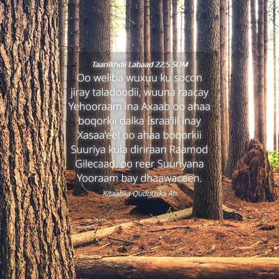 Picture 04 - Taariikhdii Labaad 22:5 SOM - Oo weliba wuxuu ku socon jiray taladoodii, wuuna - Bible Verse Picture