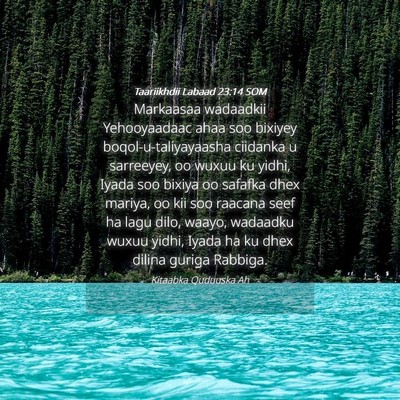Picture 04 - Taariikhdii Labaad 23:14 SOM - Markaasaa wadaadkii Yehooyaadaac ahaa soo bixiyey - Bible Verse Picture