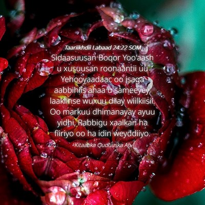 Picture 04 - Taariikhdii Labaad 24:22 SOM - Sidaasuusan Boqor Yoo'aash u xusuusan roonaantii - Bible Verse Picture