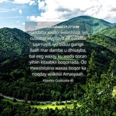 Picture 04 - Taariikhdii Labaad 24:27 SOM - Haddaba xaalkii wiilashiisa, iyo culaabtii - Bible Verse Picture