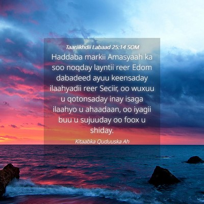 Picture 04 - Taariikhdii Labaad 25:14 SOM - Haddaba markii Amasyaah ka soo noqday layntii - Bible Verse Picture