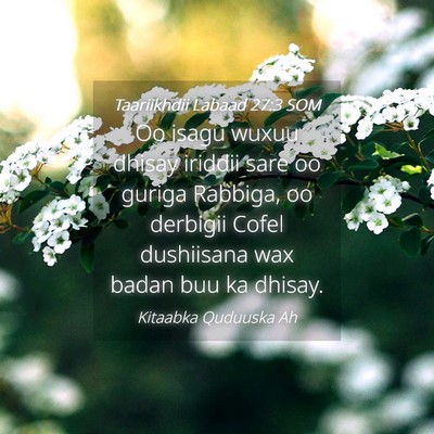 Picture 04 - Taariikhdii Labaad 27:3 SOM - Oo isagu wuxuu dhisay iriddii sare oo guriga - Bible Verse Picture