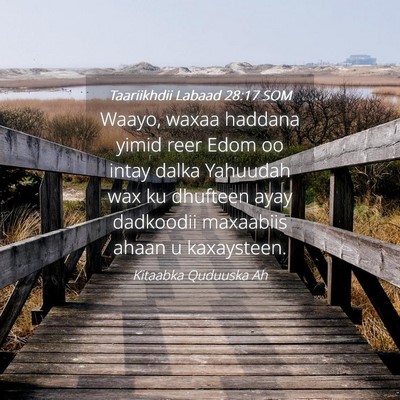 Picture 04 - Taariikhdii Labaad 28:17 SOM - Waayo, waxaa haddana yimid reer Edom oo intay - Bible Verse Picture