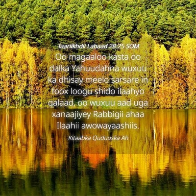 Picture 04 - Taariikhdii Labaad 28:25 SOM - Oo magaaloo kasta oo dalka Yahuudahna wuxuu ka - Bible Verse Picture