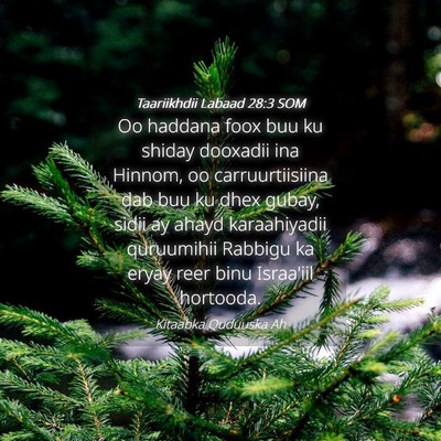 Picture 04 - Taariikhdii Labaad 28:3 SOM - Oo haddana foox buu ku shiday dooxadii ina - Bible Verse Picture